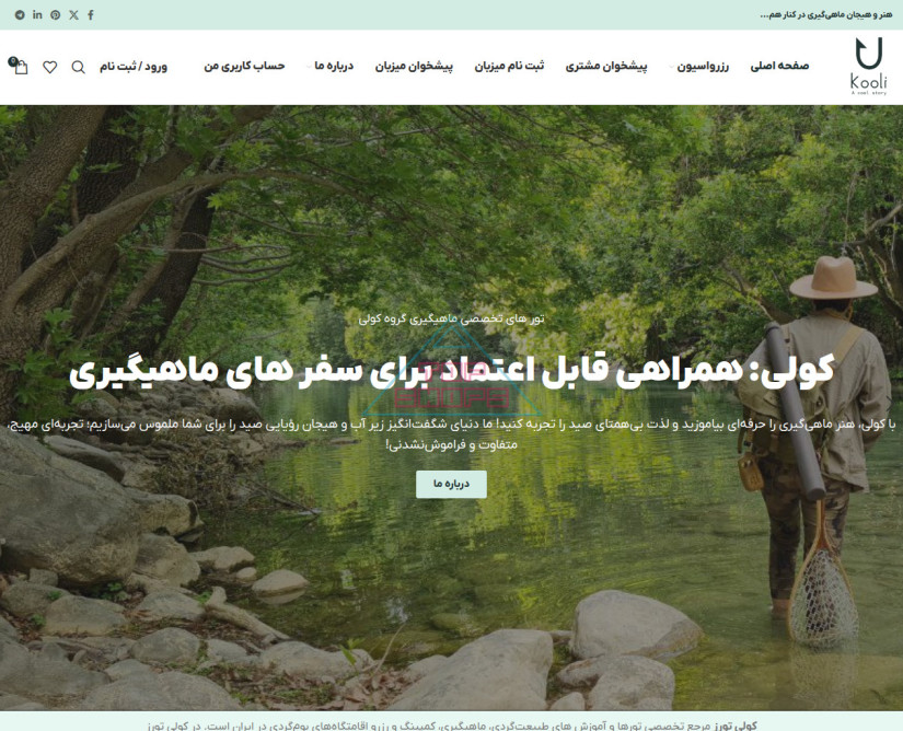 کولی تورز